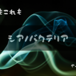 シアノバクテリアアイキャッチ